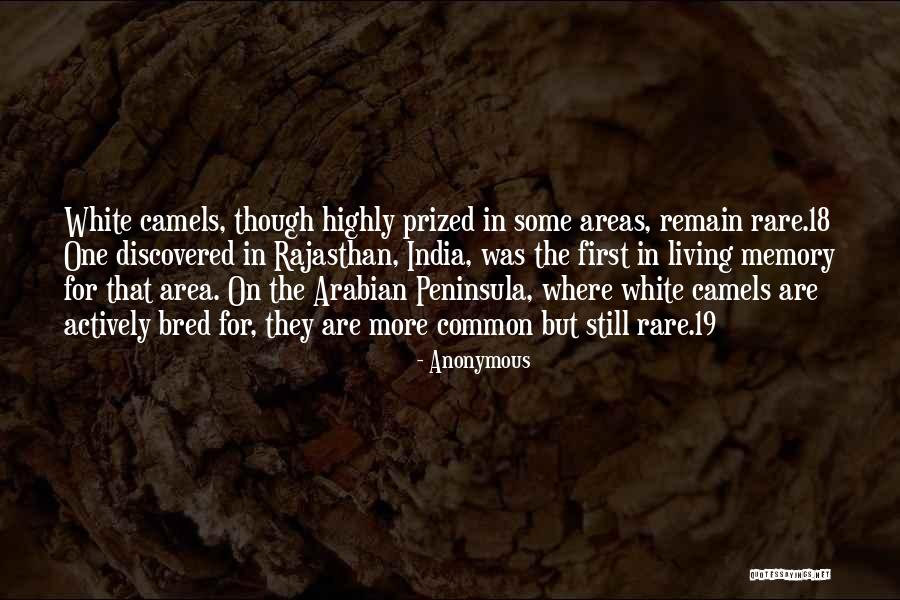 Peninsula Quotes By Anonymous Peninsula Quotes By Anonymous