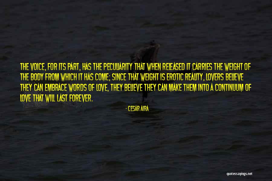 Penitent Thief Quotes By Cesar Aira Penitent Thief Quotes By Cesar Aira