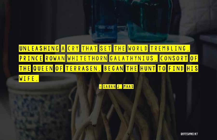 Penjaga Perpustakaan Quotes By Sarah J. Maas Penjaga Perpustakaan Quotes By Sarah J. Maas