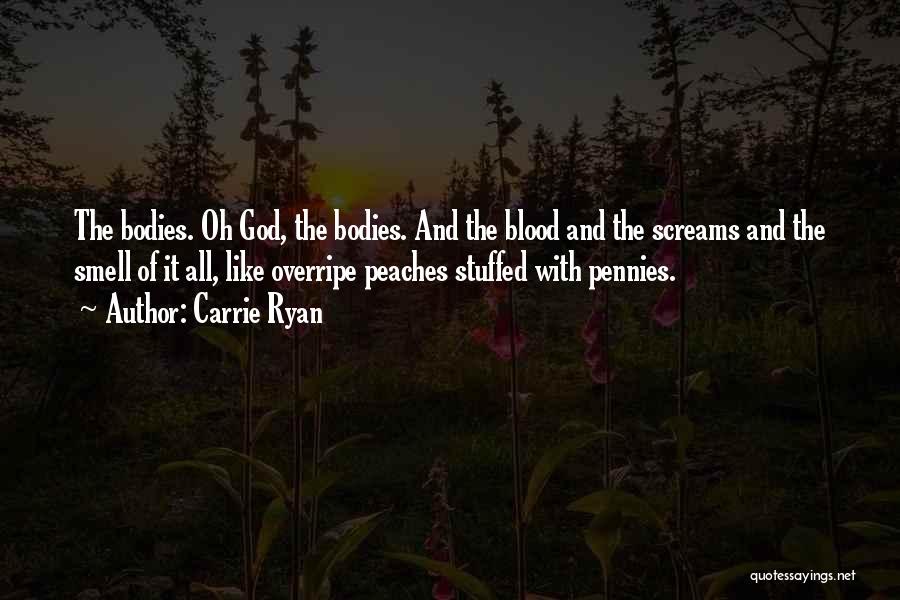 Pennies Quotes By Carrie Ryan