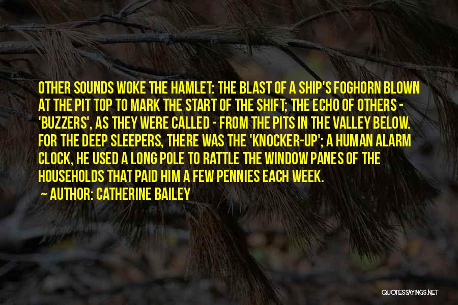Pennies Quotes By Catherine Bailey