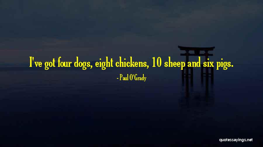 Pennisi Sacramento Quotes By Paul O'Grady Pennisi Sacramento Quotes By Paul O'Grady