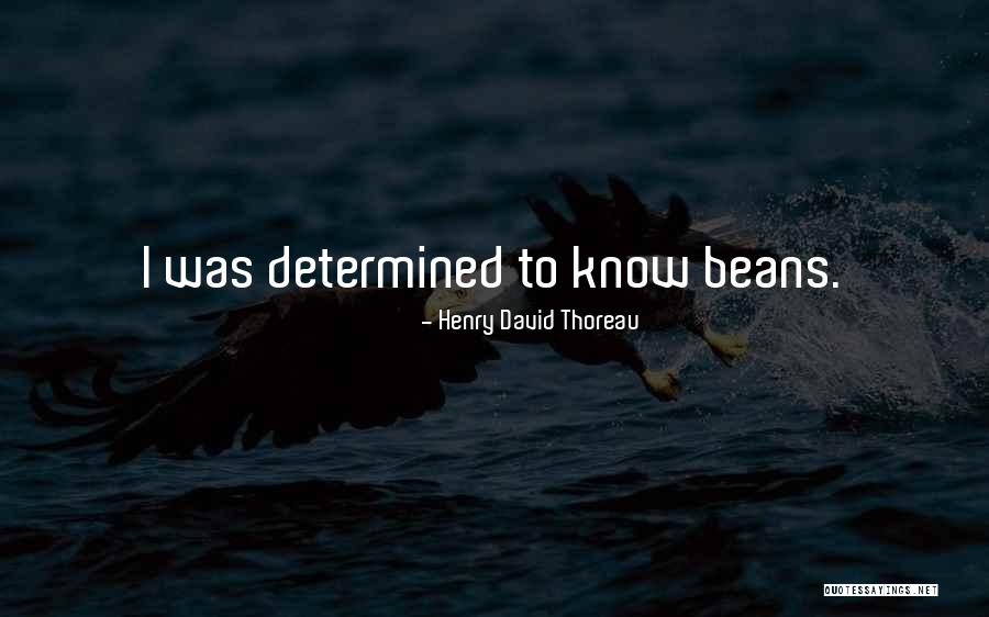 Pennsylvanian Coal Swamps Quotes By Henry David Thoreau Pennsylvanian Coal Swamps Quotes By Henry David Thoreau