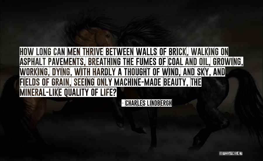 Penny Big Bang Quotes By Charles Lindbergh