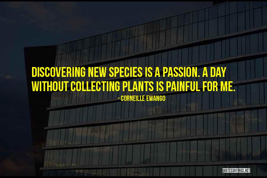 Pensato Olive Oil Quotes By Corneille Ewango Pensato Olive Oil Quotes By Corneille Ewango