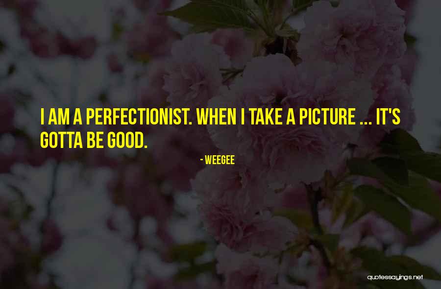 Pensatory Quotes By Weegee Pensatory Quotes By Weegee
