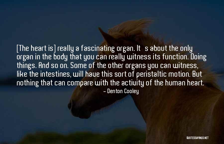 Penser Conjugation Quotes By Denton Cooley Penser Conjugation Quotes By Denton Cooley