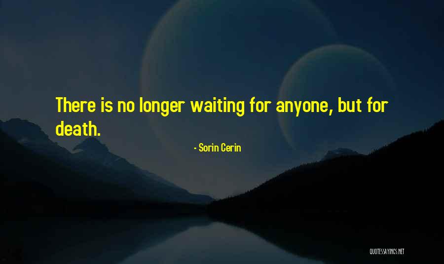 Pensll Quotes By Sorin Cerin Pensll Quotes By Sorin Cerin
