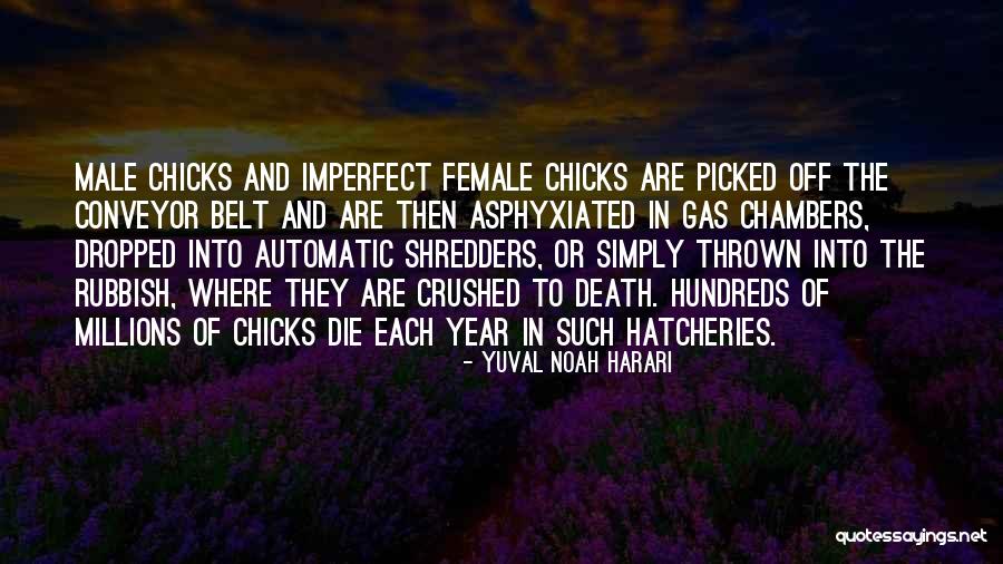 Penstemon Pinifolius Quotes By Yuval Noah Harari Penstemon Pinifolius Quotes By Yuval Noah Harari
