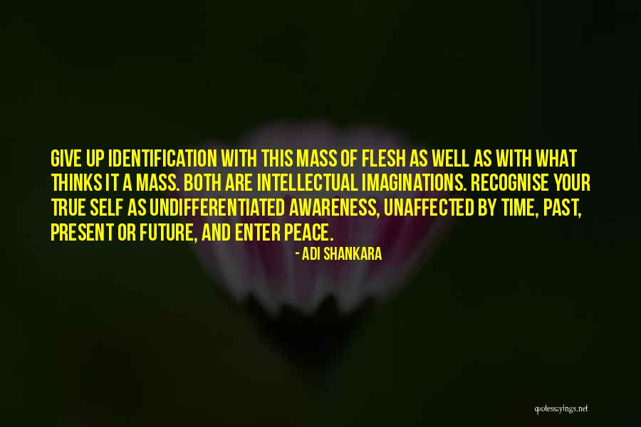 Pentadbir Tanah Quotes By Adi Shankara Pentadbir Tanah Quotes By Adi Shankara
