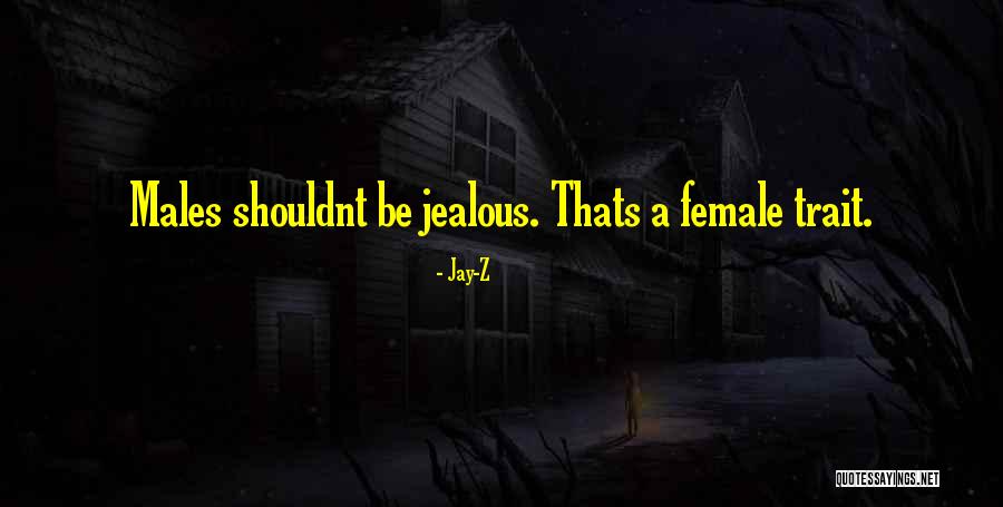 Penwarden Photography Quotes By Jay-Z Penwarden Photography Quotes By Jay-Z