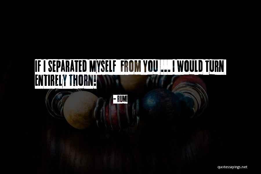 Penyelamatan Terbaik Quotes By Rumi Penyelamatan Terbaik Quotes By Rumi