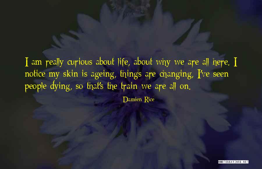 People Are Curious Quotes By Damien Rice People Are Curious Quotes By Damien Rice