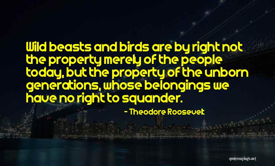 People Are Not Property Quotes By Theodore Roosevelt