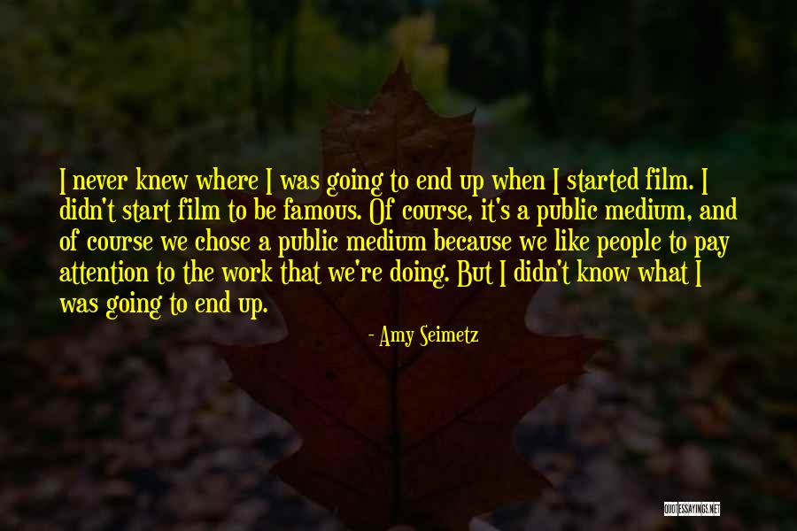 People Attention Quotes By Amy Seimetz