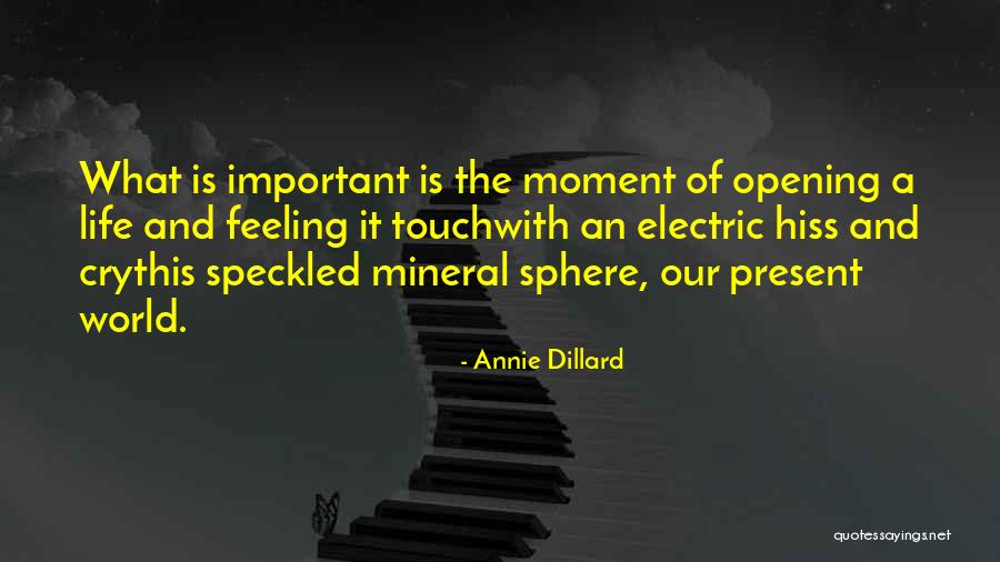 People Grow Apart Quotes By Annie Dillard People Grow Apart Quotes By Annie Dillard