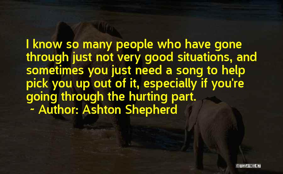 People Hurting You Quotes By Ashton Shepherd