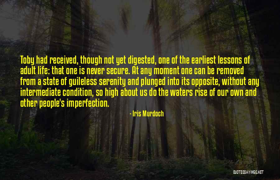 People Lessons Quotes By Iris Murdoch People Lessons Quotes By Iris Murdoch