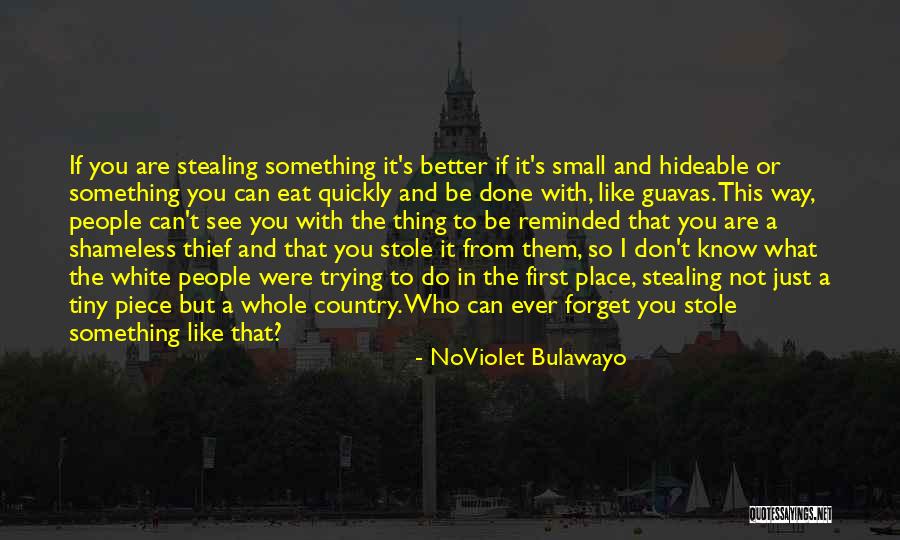 People Stealing Quotes By NoViolet Bulawayo People Stealing Quotes By NoViolet Bulawayo