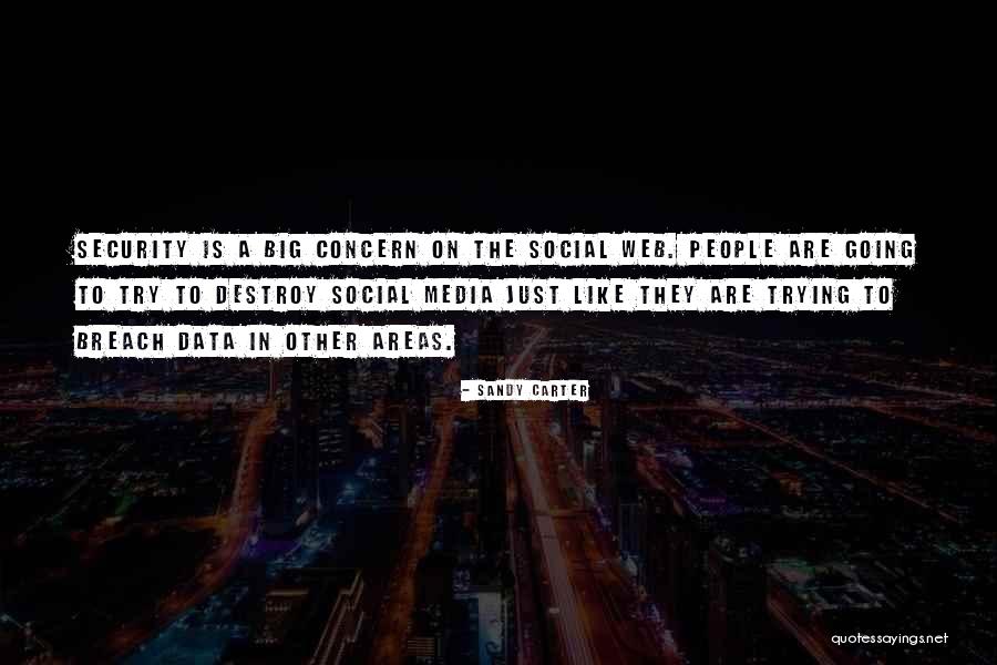 People Try To Destroy Me Quotes By Sandy Carter People Try To Destroy Me Quotes By Sandy Carter