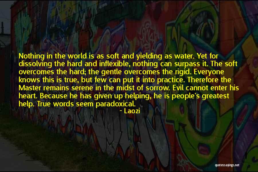 People Who Are Spiteful Quotes By Laozi People Who Are Spiteful Quotes By Laozi