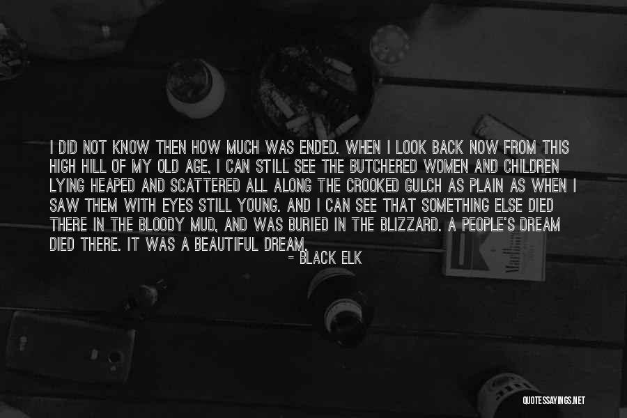 People's Eyes Quotes By Black Elk People's Eyes Quotes By Black Elk