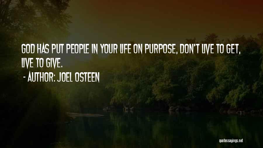 People's Purpose In Your Life Quotes By Joel Osteen