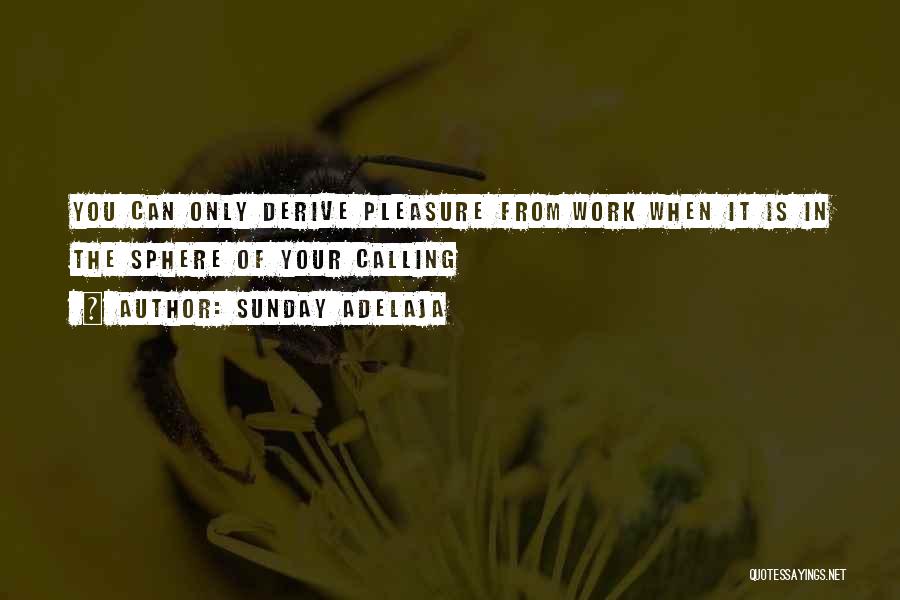 People's Purpose In Your Life Quotes By Sunday Adelaja