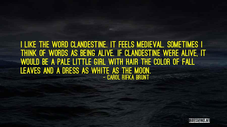 Peoples Similarities Quotes By Carol Rifka Brunt Peoples Similarities Quotes By Carol Rifka Brunt