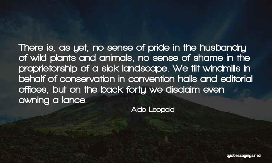 Pepita Needlepoint Quotes By Aldo Leopold Pepita Needlepoint Quotes By Aldo Leopold