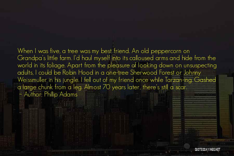 Peppercorn Quotes By Phillip Adams