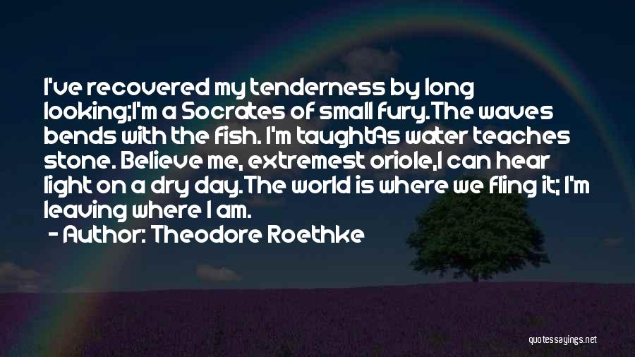 Pepperpot Guyana Quotes By Theodore Roethke