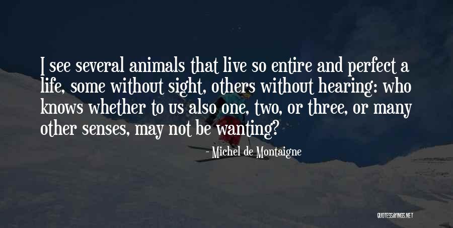 Pequerruchos Da Quotes By Michel De Montaigne Pequerruchos Da Quotes By Michel De Montaigne