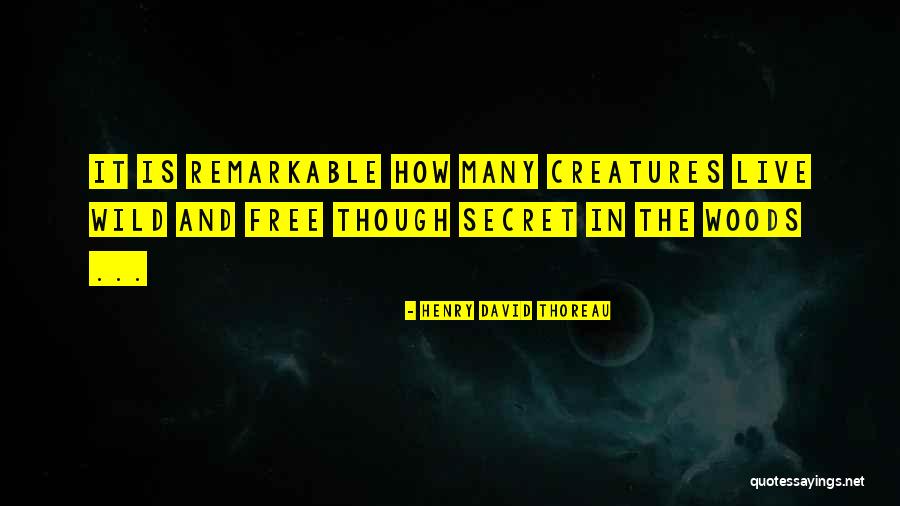 Pequines Quotes By Henry David Thoreau Pequines Quotes By Henry David Thoreau