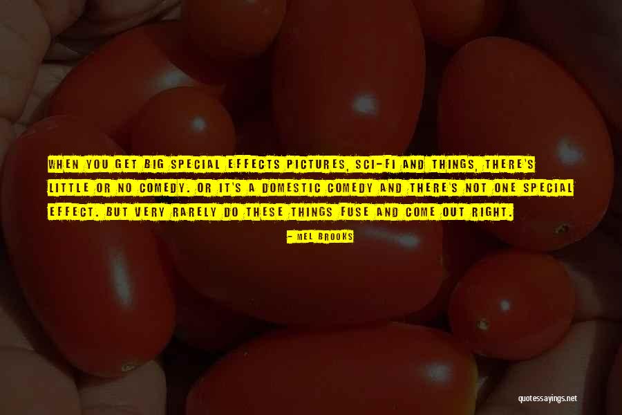 Pequines Quotes By Mel Brooks Pequines Quotes By Mel Brooks