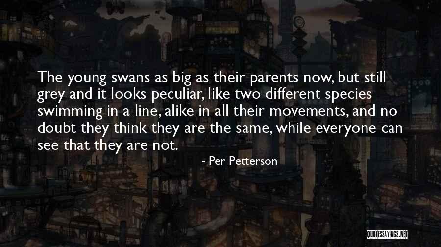 Per Petterson Quotes 1800639 Per Petterson Quotes 1800639