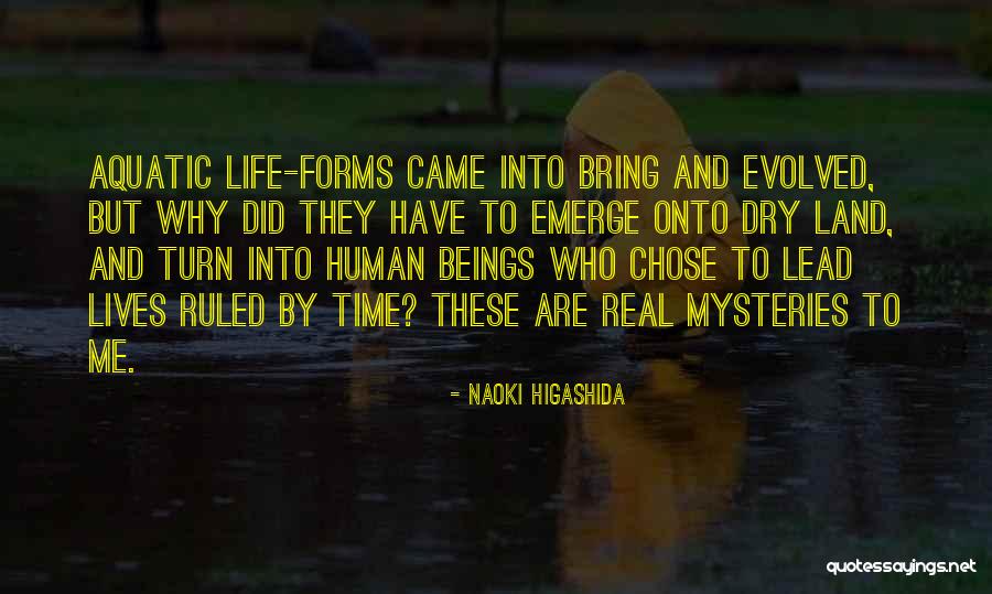 Percebe Crustaceo Quotes By Naoki Higashida Percebe Crustaceo Quotes By Naoki Higashida