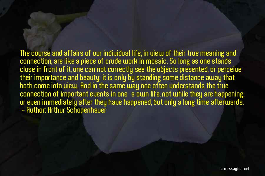 Perceive Beauty Quotes By Arthur Schopenhauer