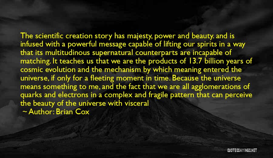Perceive Beauty Quotes By Brian Cox
