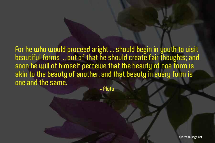 Perceive Beauty Quotes By Plato