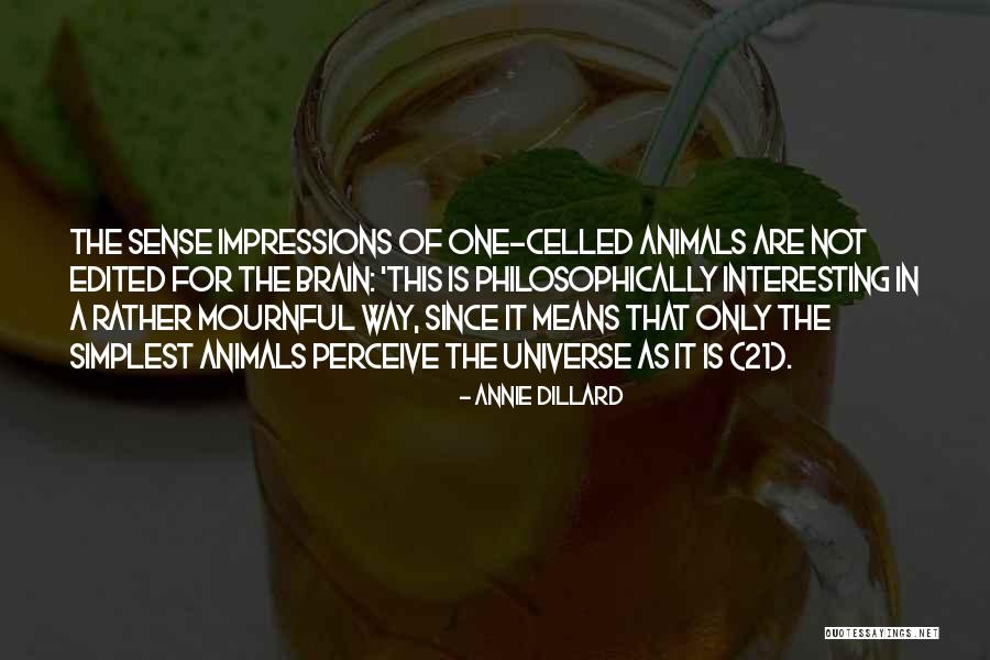 Perceive World Quotes By Annie Dillard Perceive World Quotes By Annie Dillard