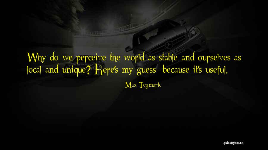 Perceive World Quotes By Max Tegmark Perceive World Quotes By Max Tegmark