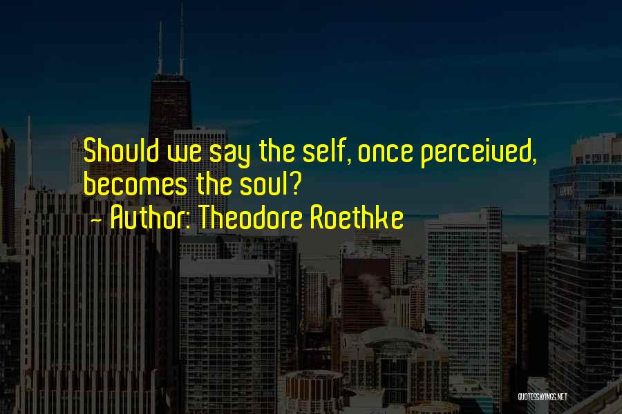 Perceived Self Quotes By Theodore Roethke