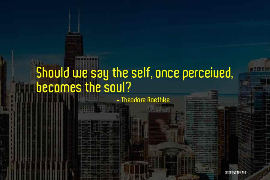 Perceived Self Quotes By Theodore Roethke