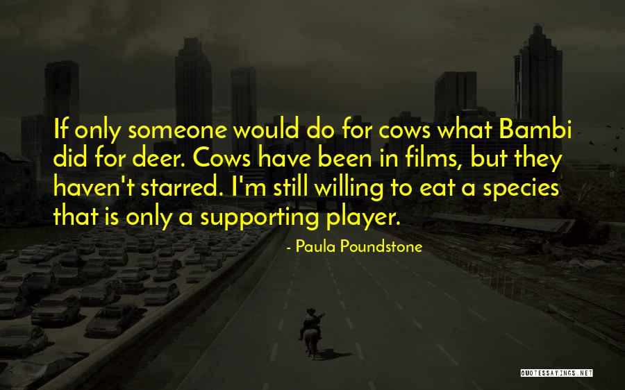 Perceiver Personality Quotes By Paula Poundstone Perceiver Personality Quotes By Paula Poundstone
