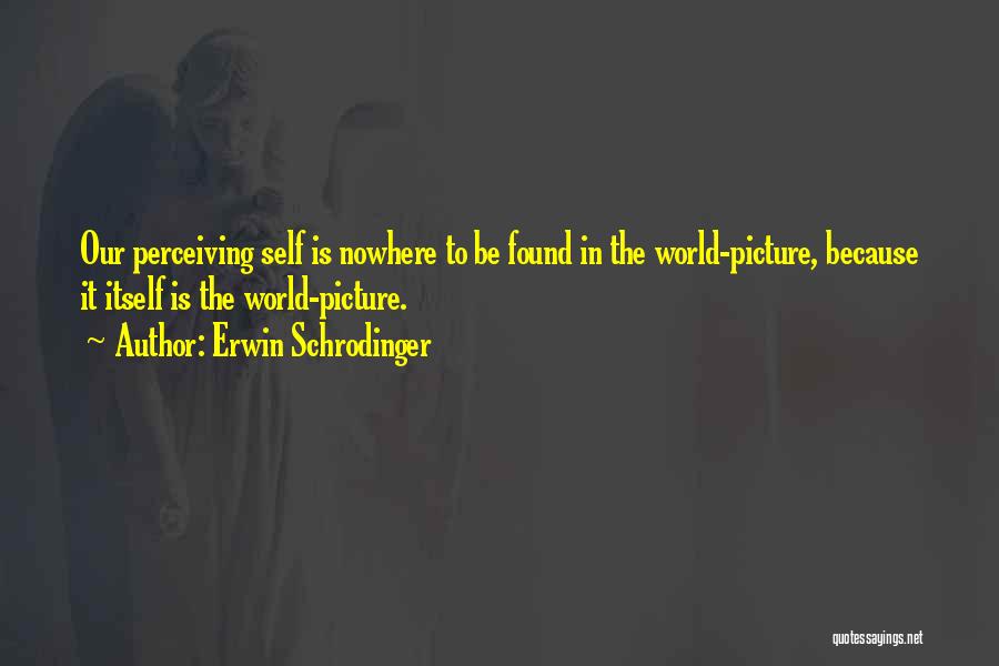 Perceiving Others Quotes By Erwin Schrodinger