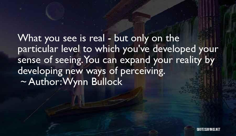 Perceiving Others Quotes By Wynn Bullock