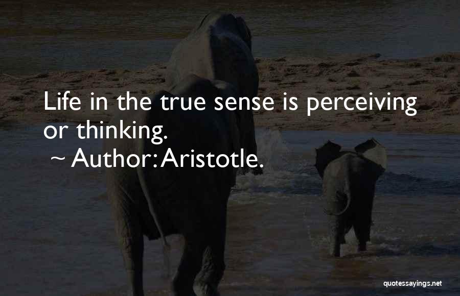 Perceiving Quotes By Aristotle.
