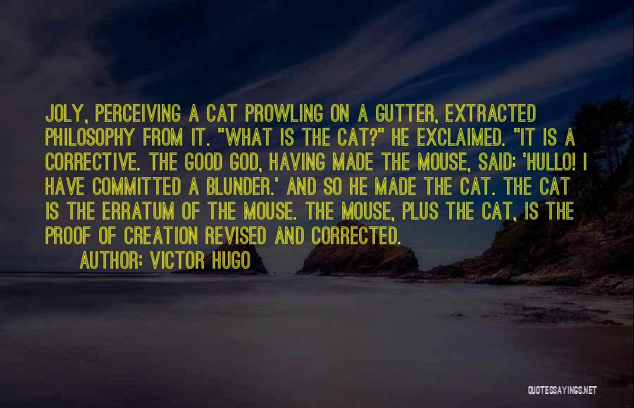 Perceiving Quotes By Victor Hugo