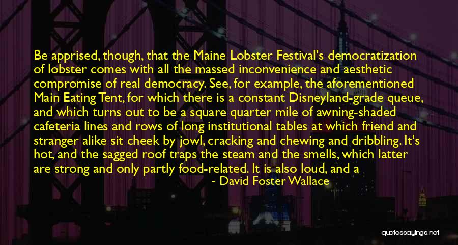 Percentage Quotes By David Foster Wallace